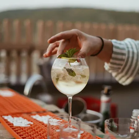 President 4* Čapljina